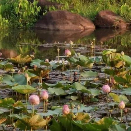 Fandee Island Treehouses & Ziplines - Tad Lo, Bolaven Loop Pakse Ban Kiangtat 외부 사진