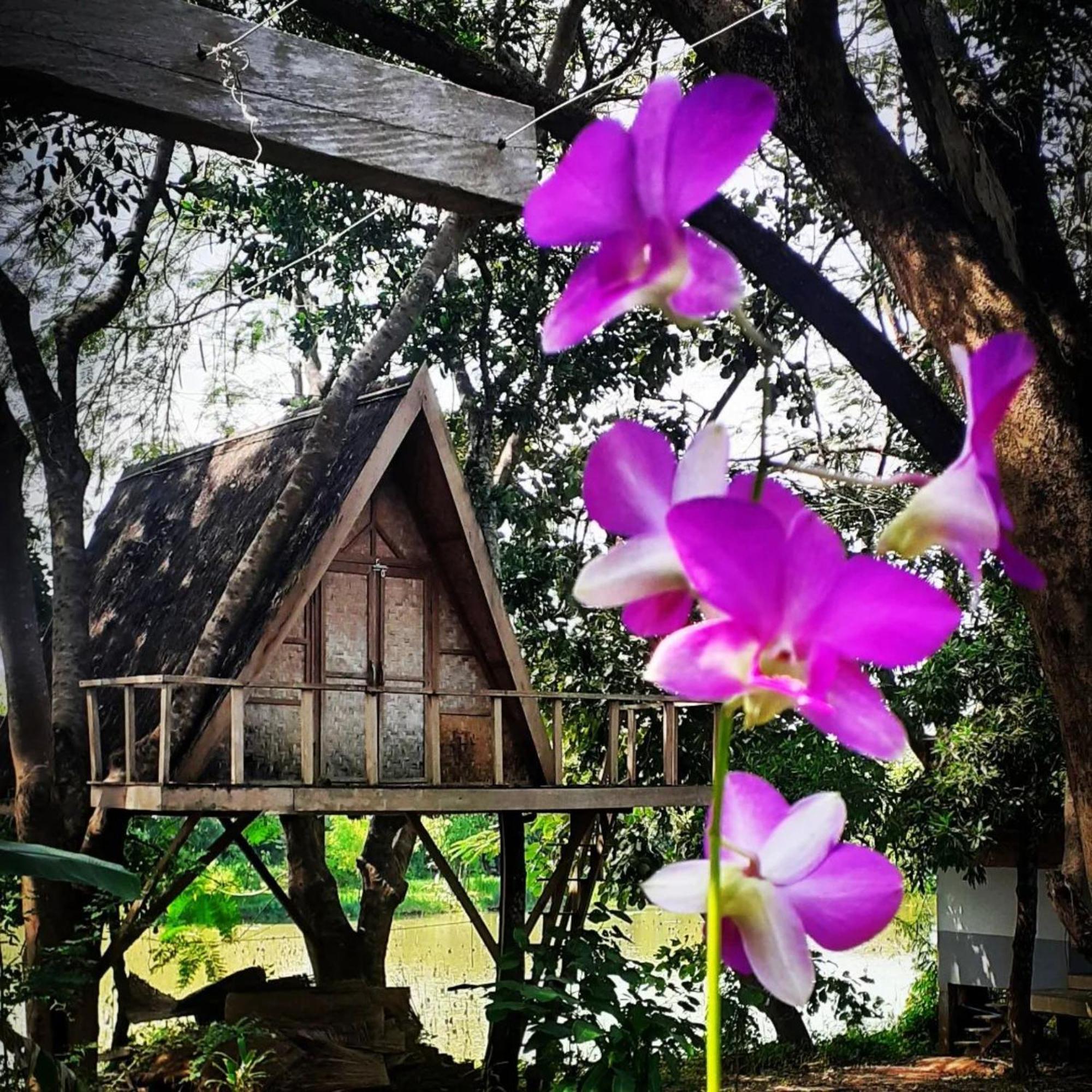 Fandee Island Treehouses & Ziplines - Tad Lo, Bolaven Loop Pakse Ban Kiangtat 외부 사진
