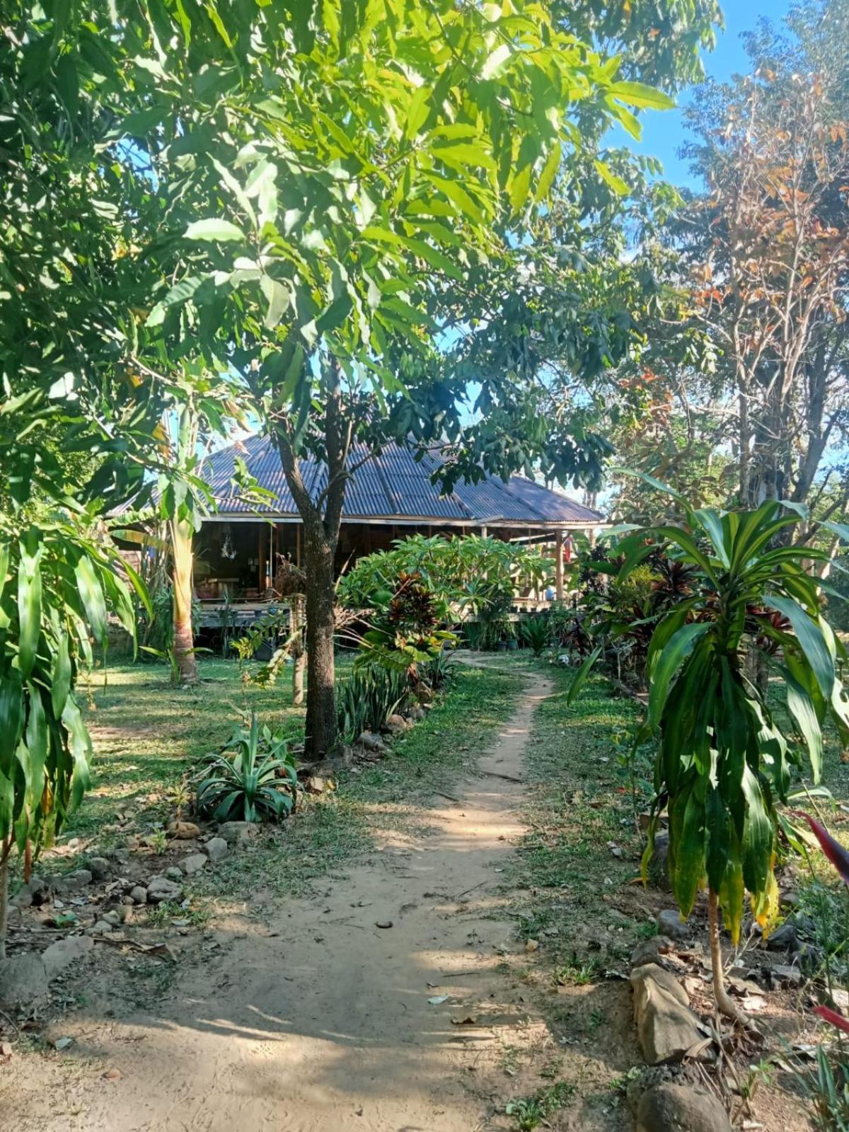 Fandee Island Treehouses & Ziplines - Tad Lo, Bolaven Loop Pakse Ban Kiangtat 외부 사진